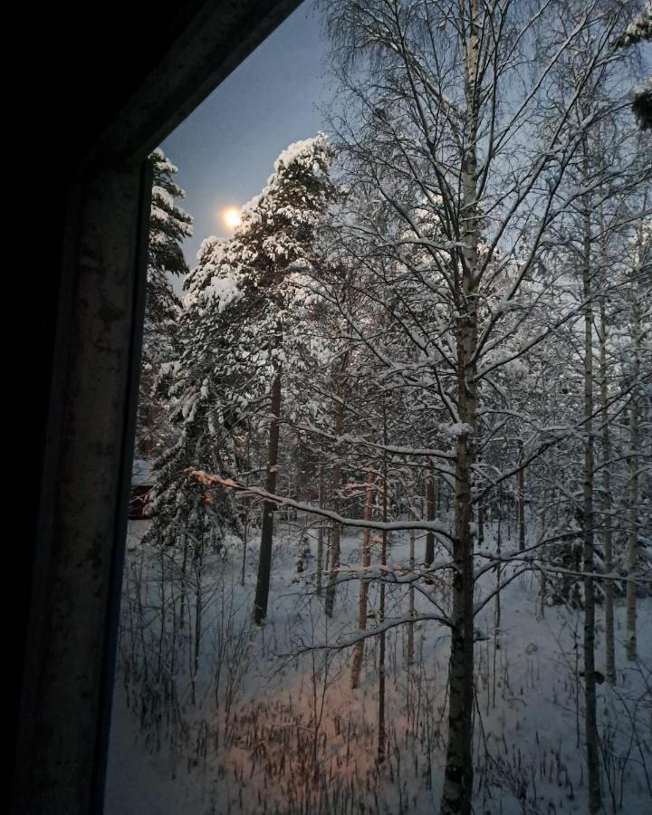Room In Polar Circle Rovaniemi Exterior foto